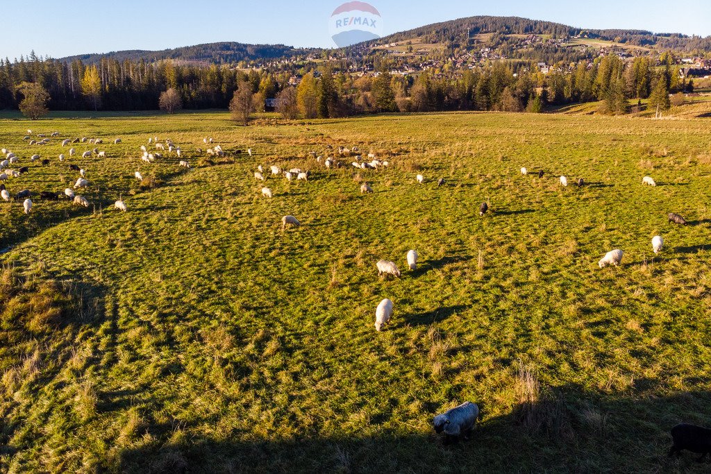 Działka rolna na sprzedaż Kościelisko  2 957m2 Foto 10