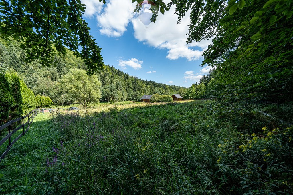 Działka budowlana na sprzedaż Targoszów  1 451m2 Foto 13