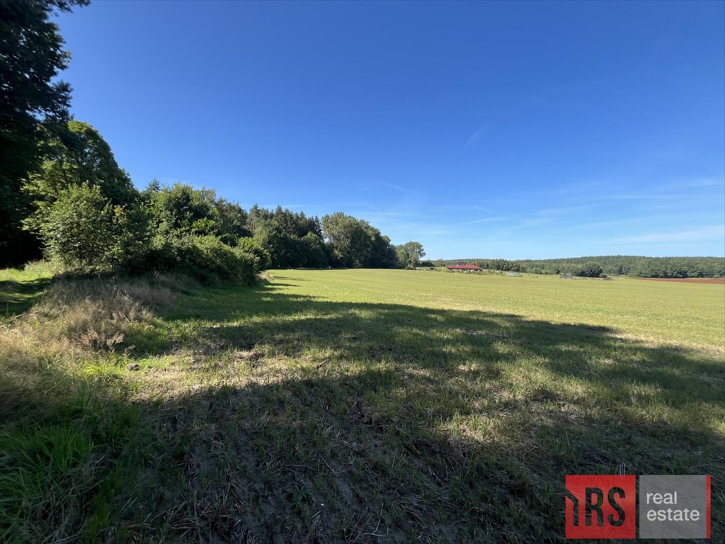 Działka budowlana na sprzedaż Niemierze  40 000m2 Foto 4