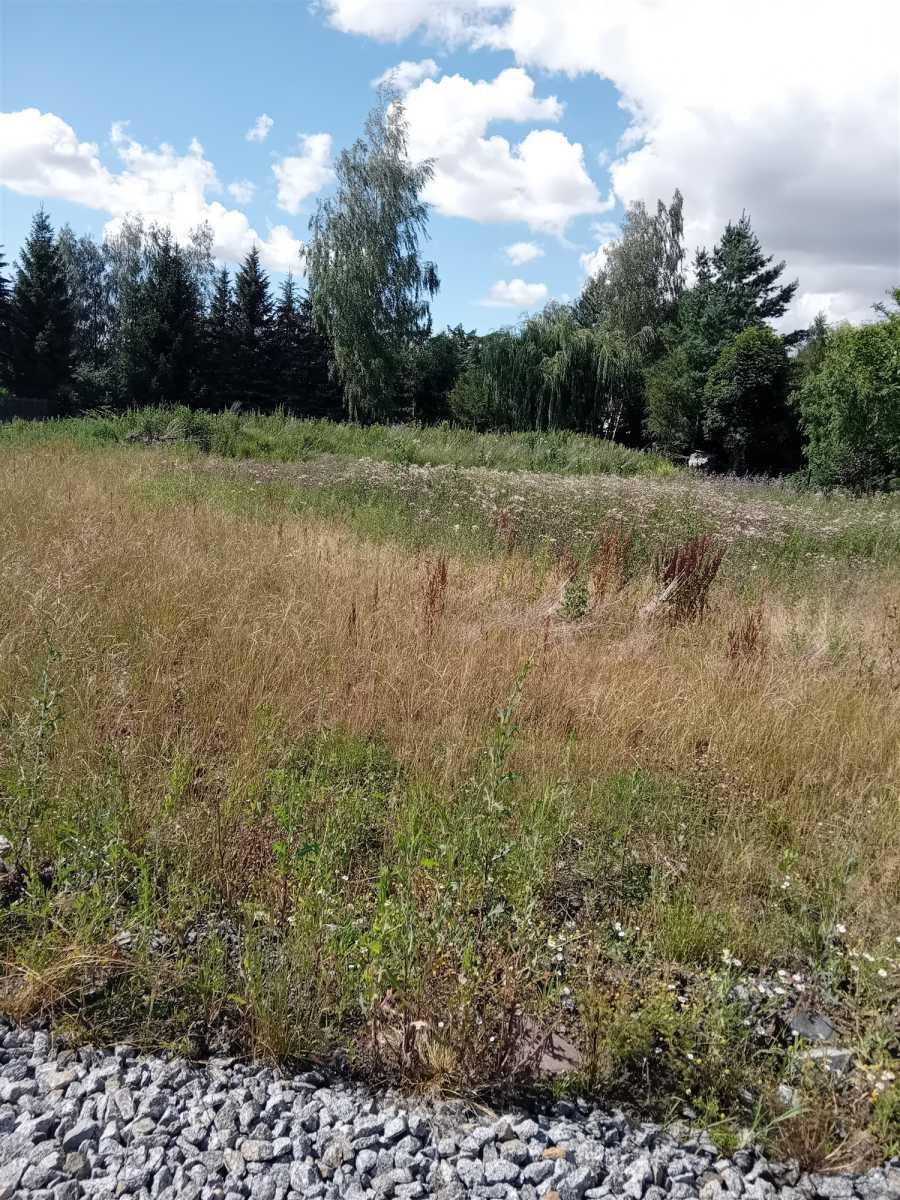 Działka budowlana na sprzedaż Dzierżoniów, Piława Dolna  1 570m2 Foto 5