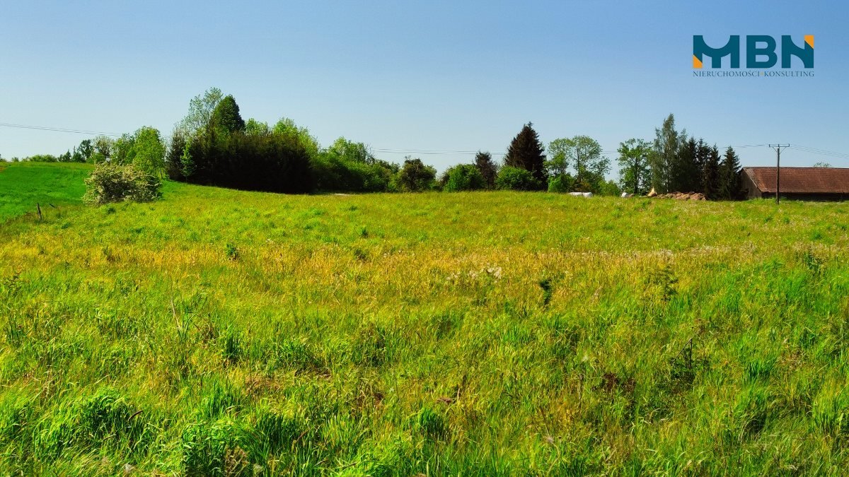 Działka rolna na sprzedaż Węgorzewo, Rudziszki  21 800m2 Foto 8