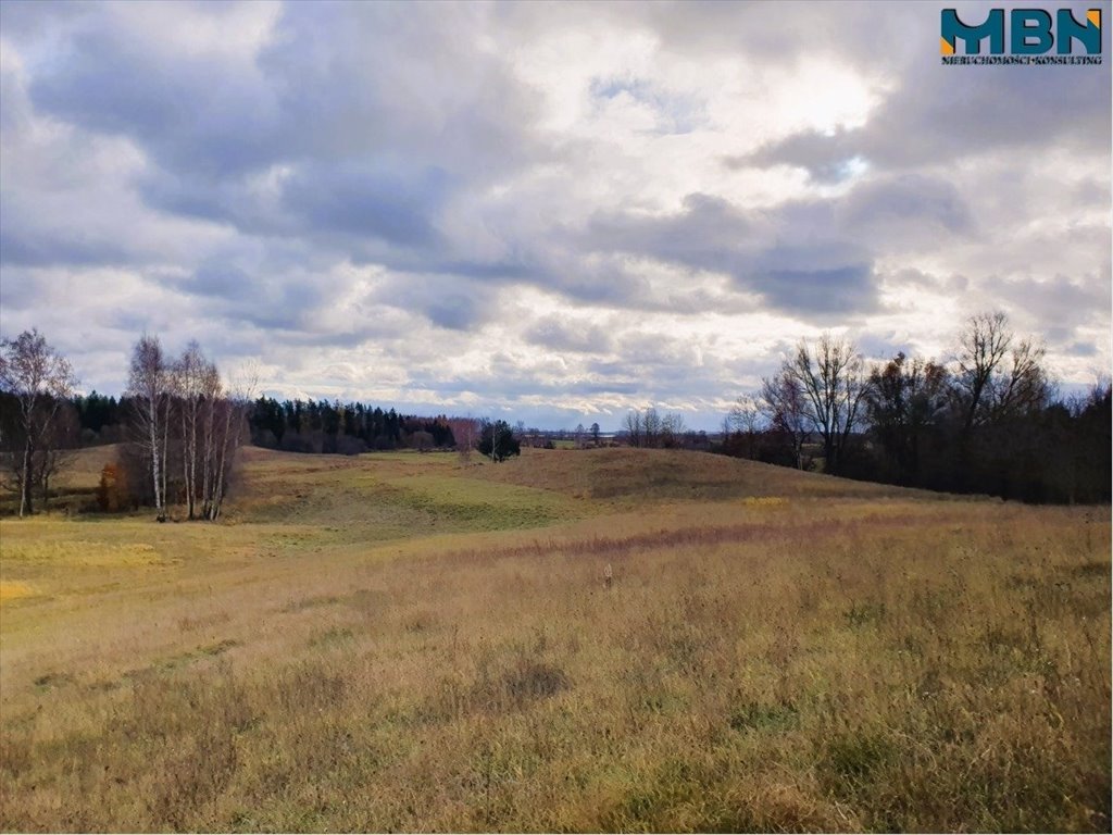 Działka rolna na sprzedaż Tuchlin, Tuchlin  65 579m2 Foto 15