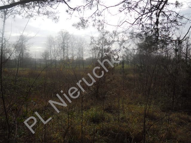 Działka leśna na sprzedaż Goździówka  3 692m2 Foto 2