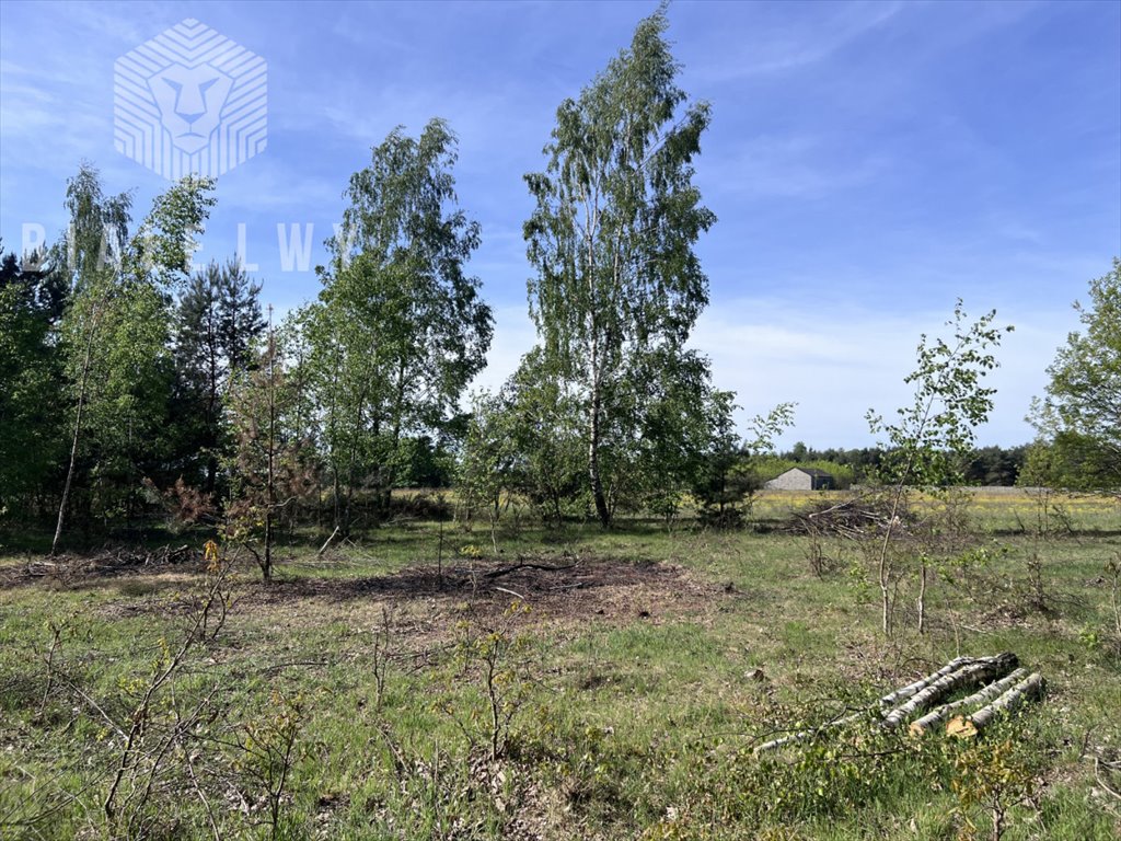 Działka budowlana na sprzedaż Osuchów  3 001m2 Foto 9