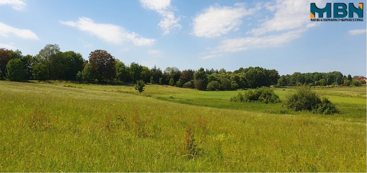 Działka rolna na sprzedaż Stręgielek, Stręgielek  3 035m2 Foto 18