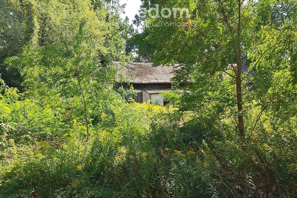 Działka budowlana na sprzedaż Ostrów-Kania  9 658m2 Foto 3