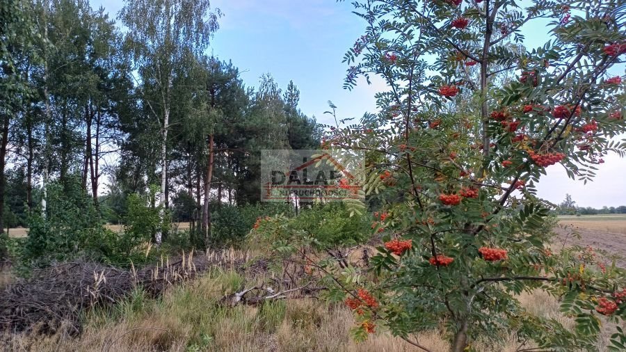 Zapraszam do obejrzenia działki 1400 m² z domem rekreacyjnym w Małęczynie Małęczyn  1 400m2 Foto 1