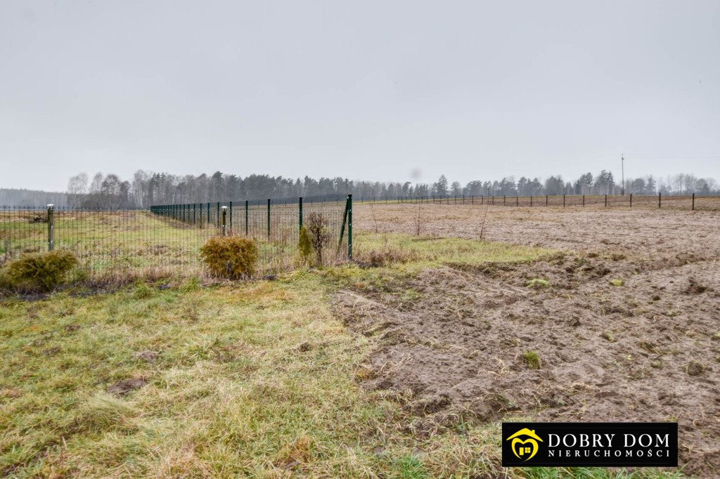 Działka siedliskowa na sprzedaż Brześcianka  10 000m2 Foto 5