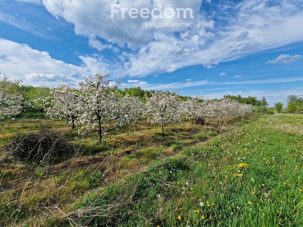 Dom na sprzedaż Polubicze Wiejskie  110m2 Foto 6