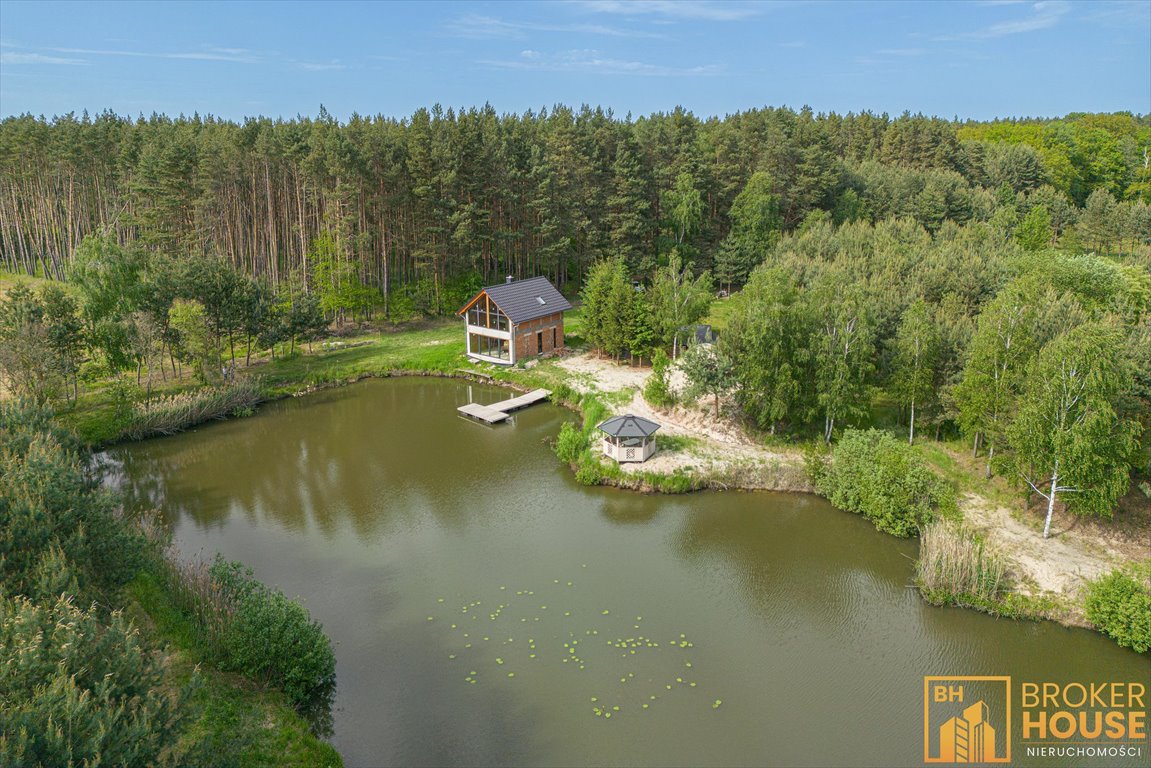 Polecam unikalną działkę z domem, stawami i lasem w Brynicy Brynica, Polna  27 000m2 Foto 1