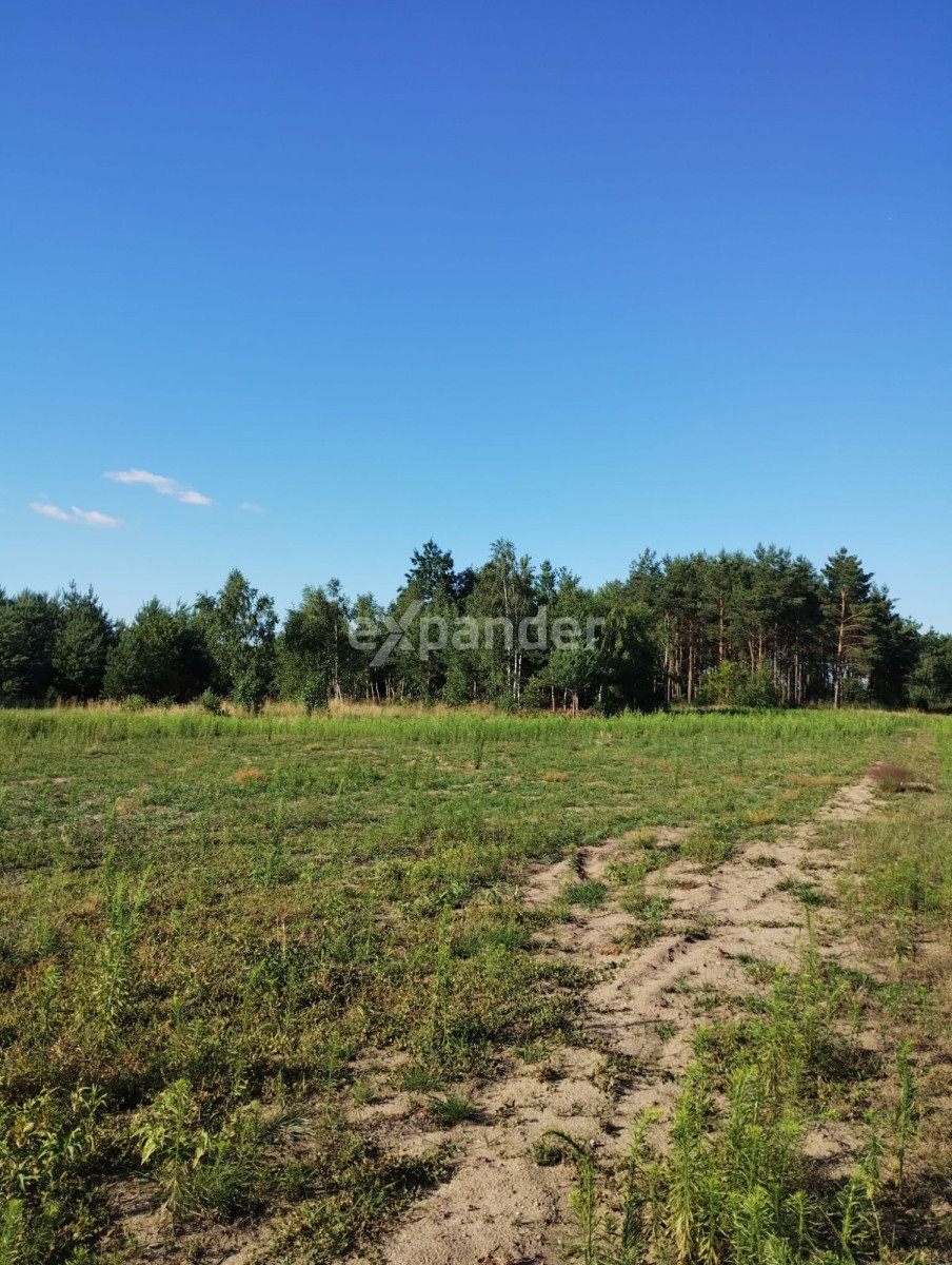 Działka rolna na sprzedaż Blinno  15 000m2 Foto 7