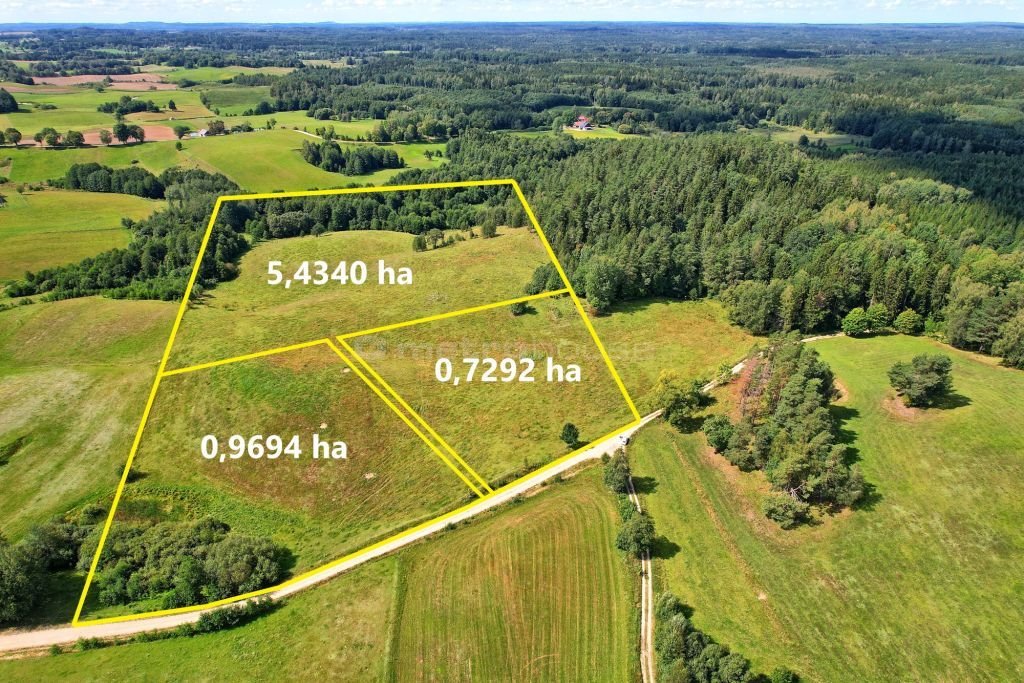 Działka siedliskowa na sprzedaż Będziszewo  7 292m2 Foto 1