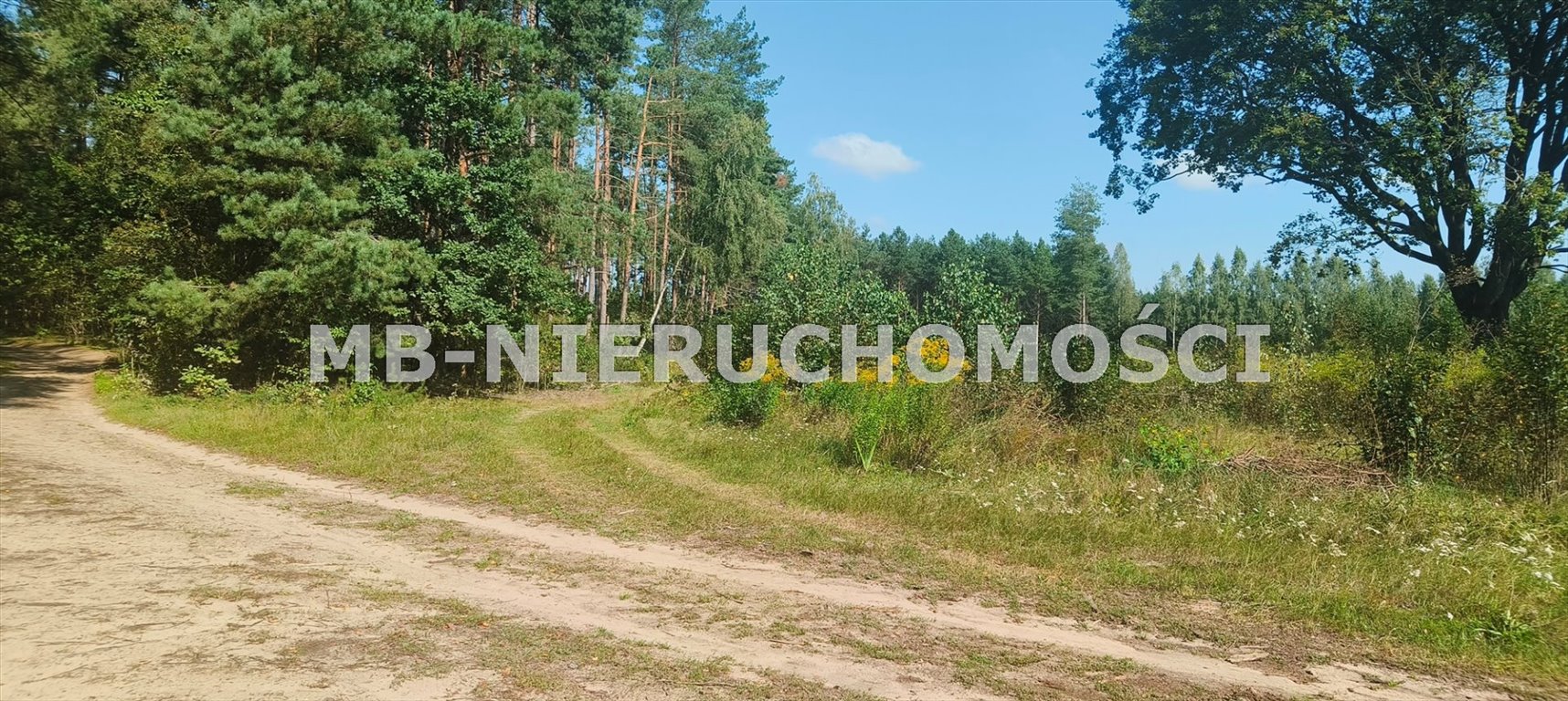 Do sprzedania działka siedliskowa 39 800 m² w lesie Barczewko  39 800m2 Foto 1