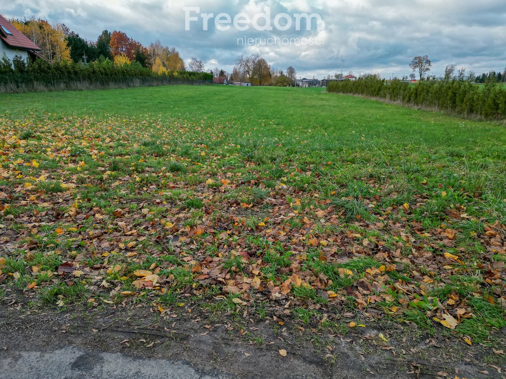 Działka rolna na sprzedaż Laseczno, Laseczno Małe  3 000m2 Foto 10