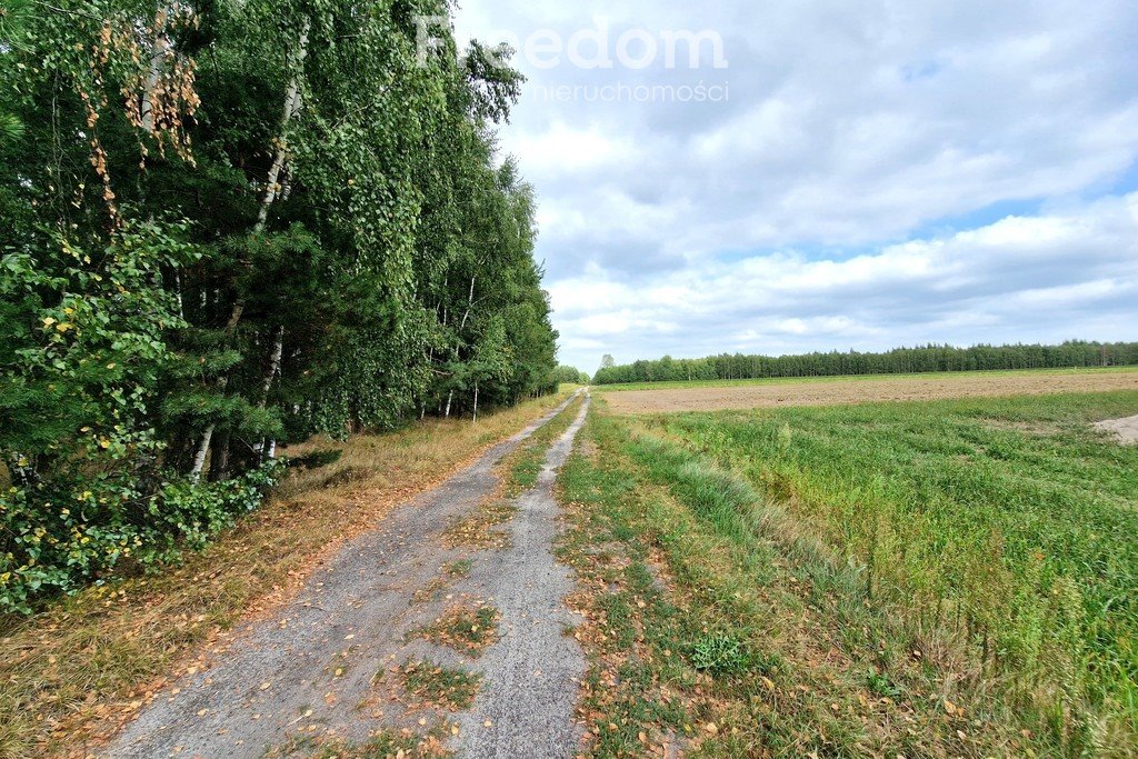 Działka inna na sprzedaż Musiejówka  8 100m2 Foto 10