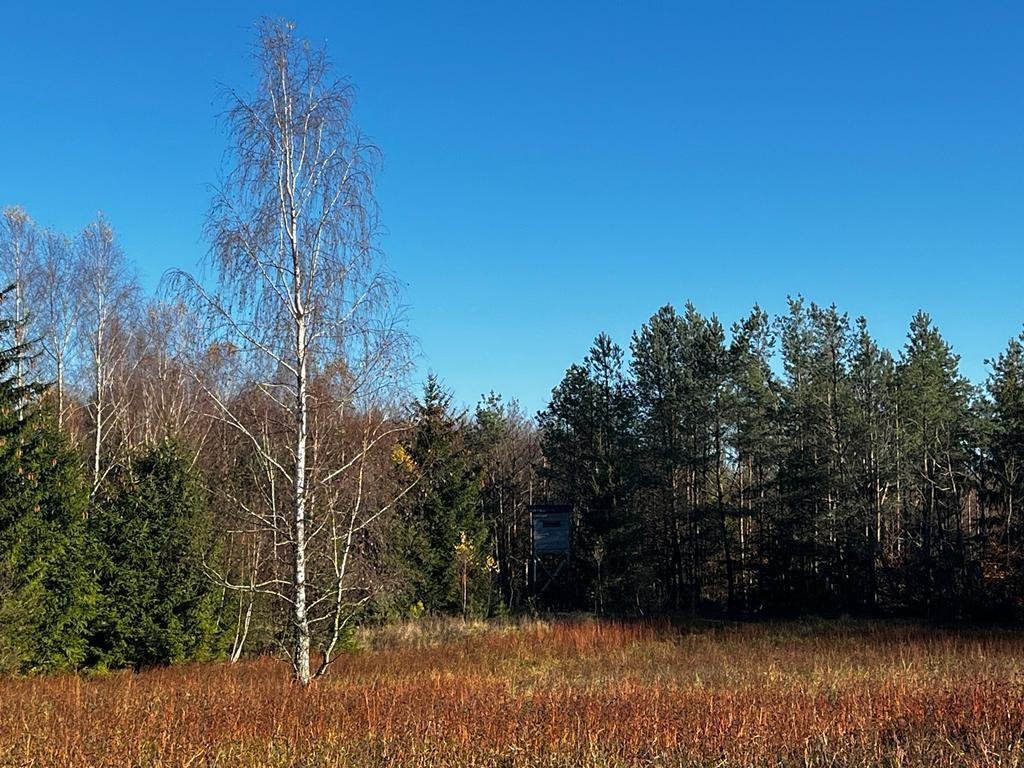 Działka siedliskowa na sprzedaż Zadry  70 600m2 Foto 1