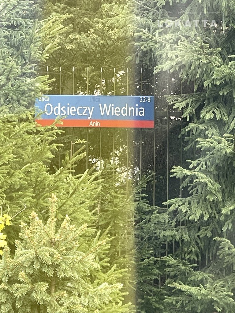 Działka leśna z prawem budowy na sprzedaż Warszawa, Wawer, Anin  2 169m2 Foto 1