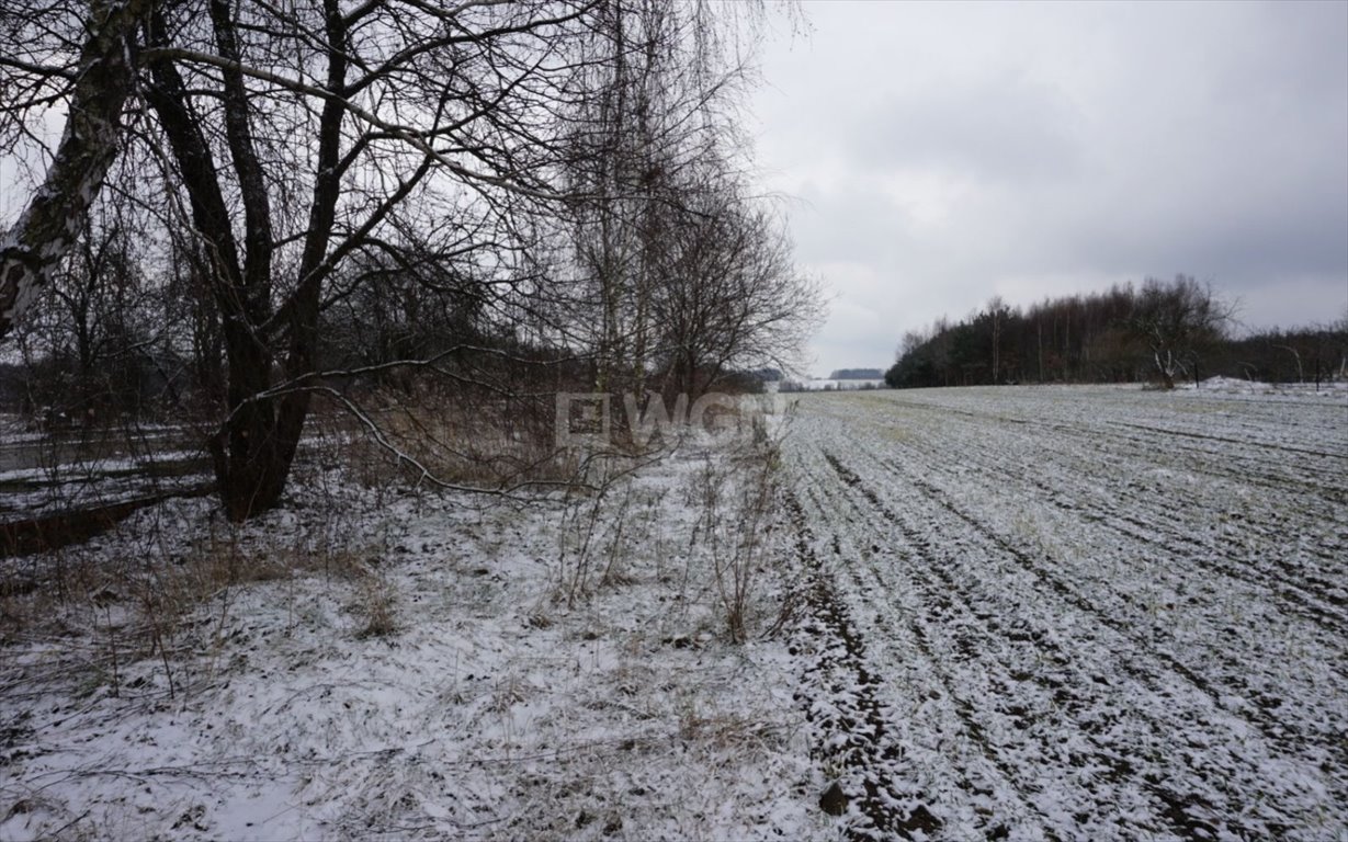 Działka budowlana na sprzedaż Rędziny, Mstowska  18 723m2 Foto 10