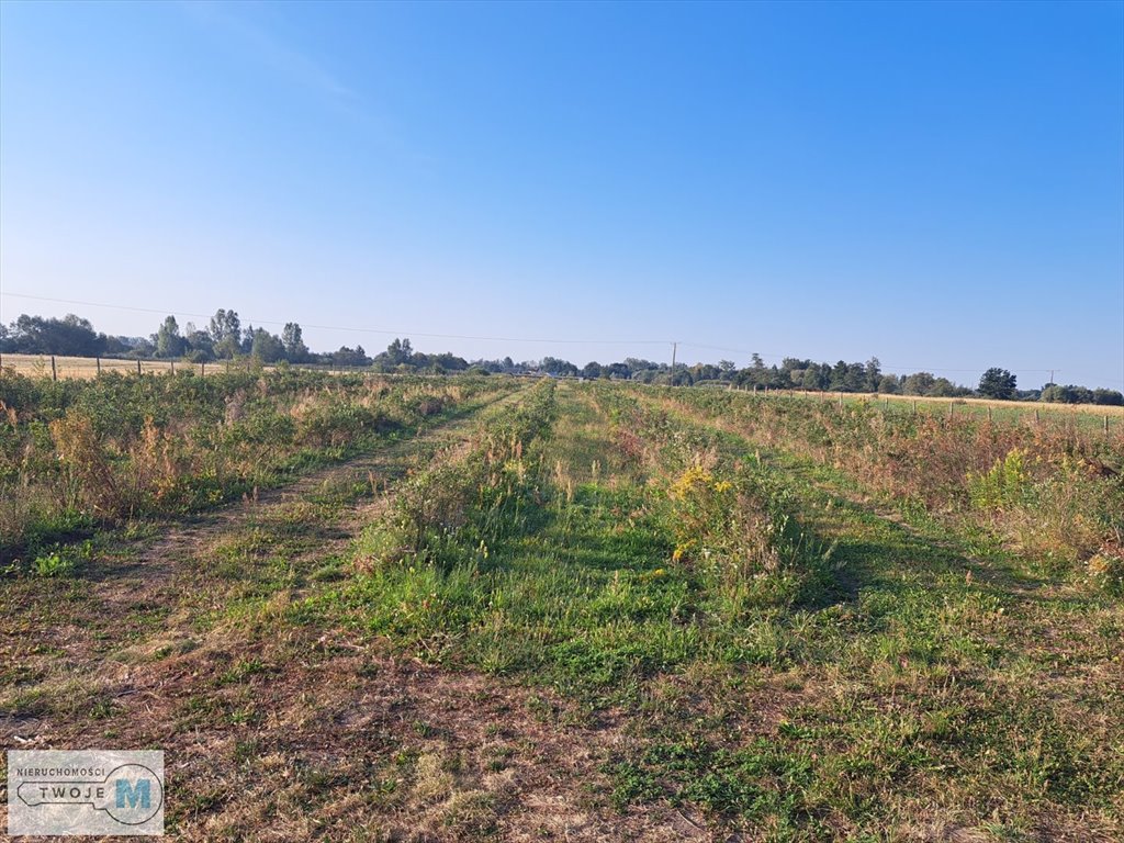 Działka inwestycyjna na sprzedaż Łubnice, Przeczów  22 000m2 Foto 1