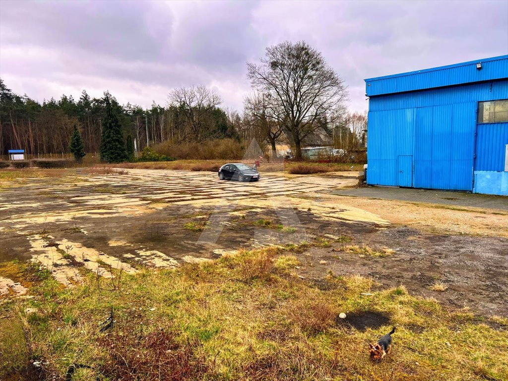 Magazyn na wynajem Brzoza  650m2 Foto 8