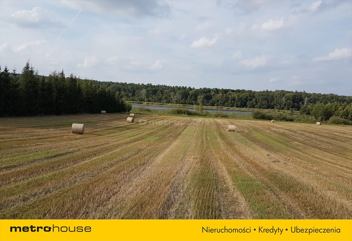 Działka inna na sprzedaż Wielka Wieś, Bukowska  19 079m2 Foto 3