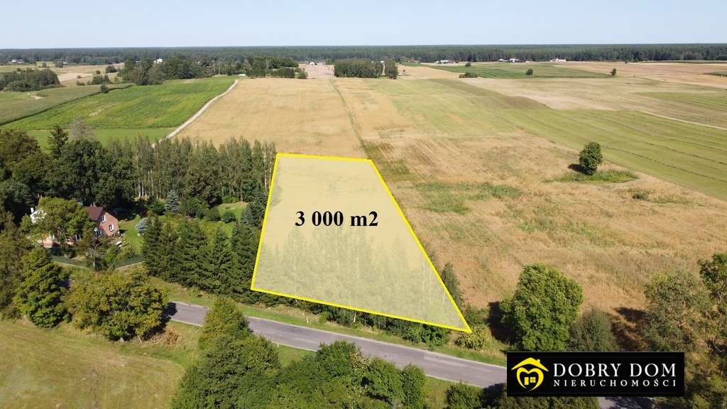 Na sprzedaż przestronna działka 3000 m² z warunkami zabudowy Jabłońskie  3 000m2 Foto 1