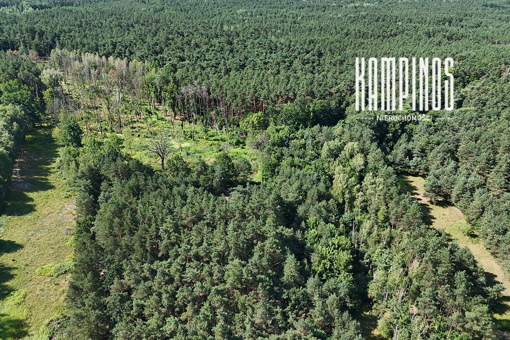 Sprzedam działkę 5266 m² pod dom w Hornówku, media w drodze Hornówek  5 266m2 Foto 1