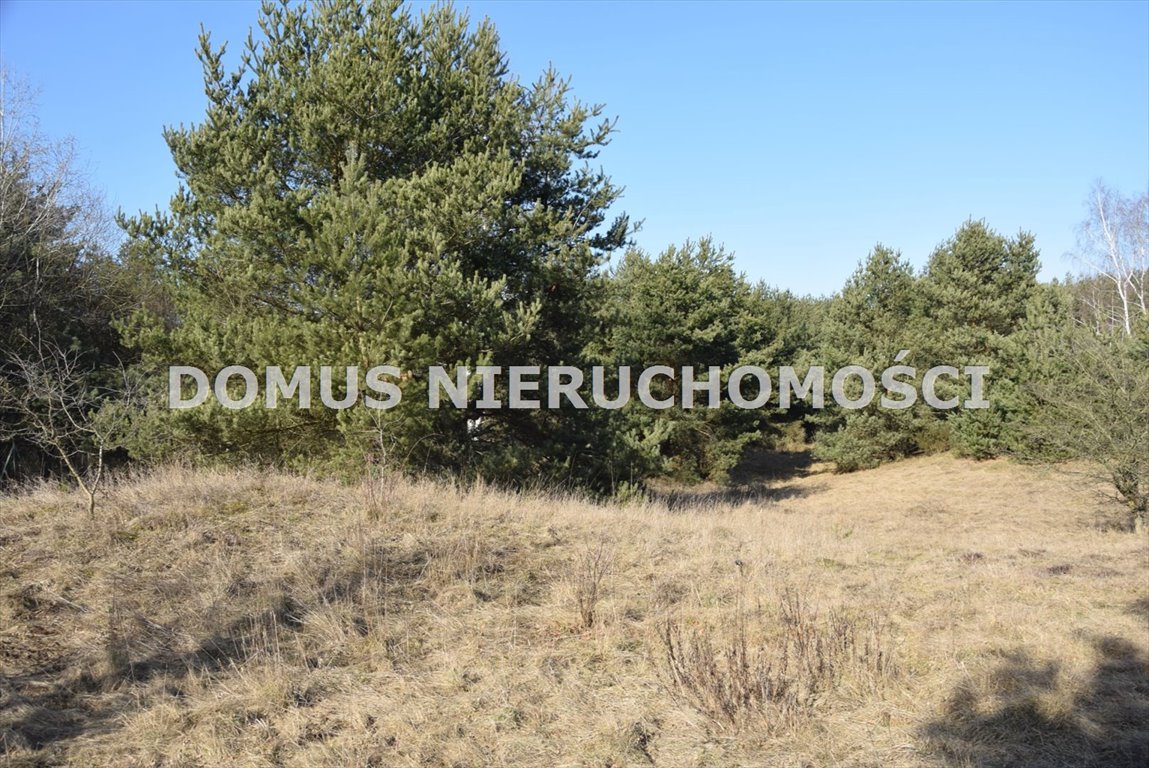 Działka 8 000 m² w Tworzyjankach - cisza i prywatność Tworzyjanki  8 000m2 Foto 1