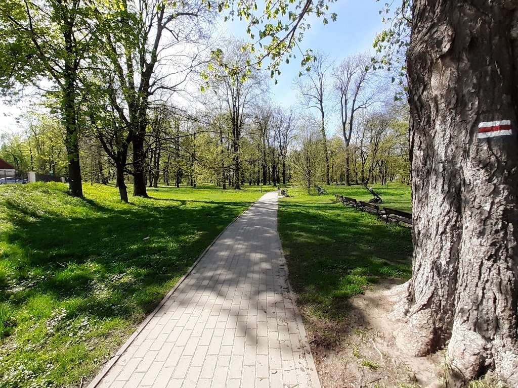 Mieszkanie trzypokojowe na sprzedaż Rzeszów, Powstańców Śląskich  55m2 Foto 8