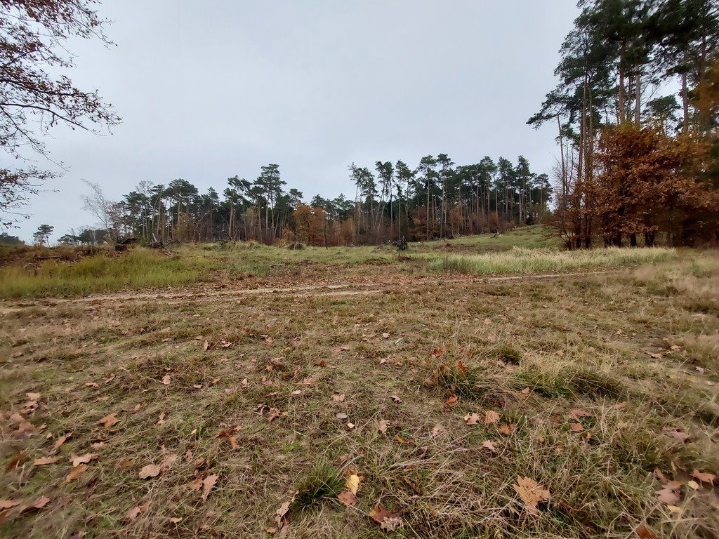 Działka budowlana na sprzedaż Izdebno  1 500m2 Foto 7