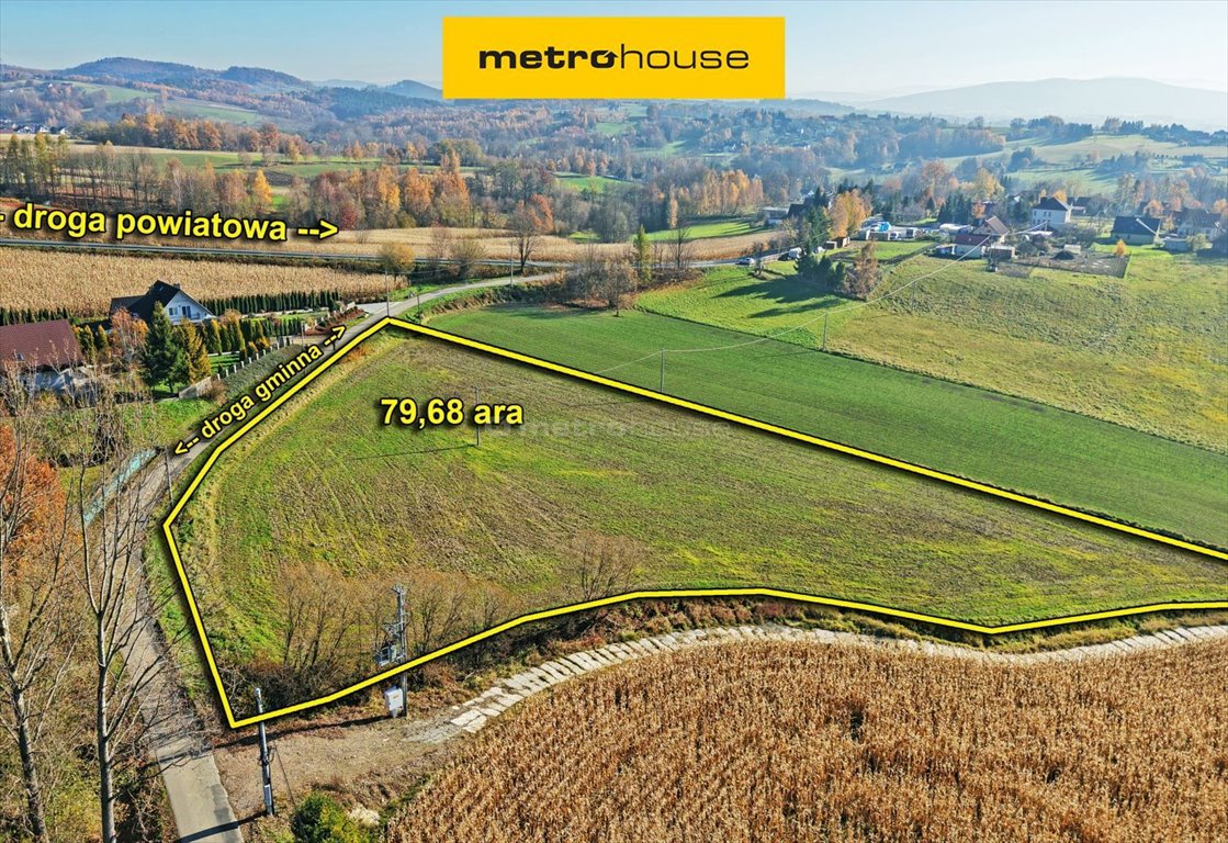 Działka budowlana na sprzedaż Witanowice  7 968m2 Foto 1