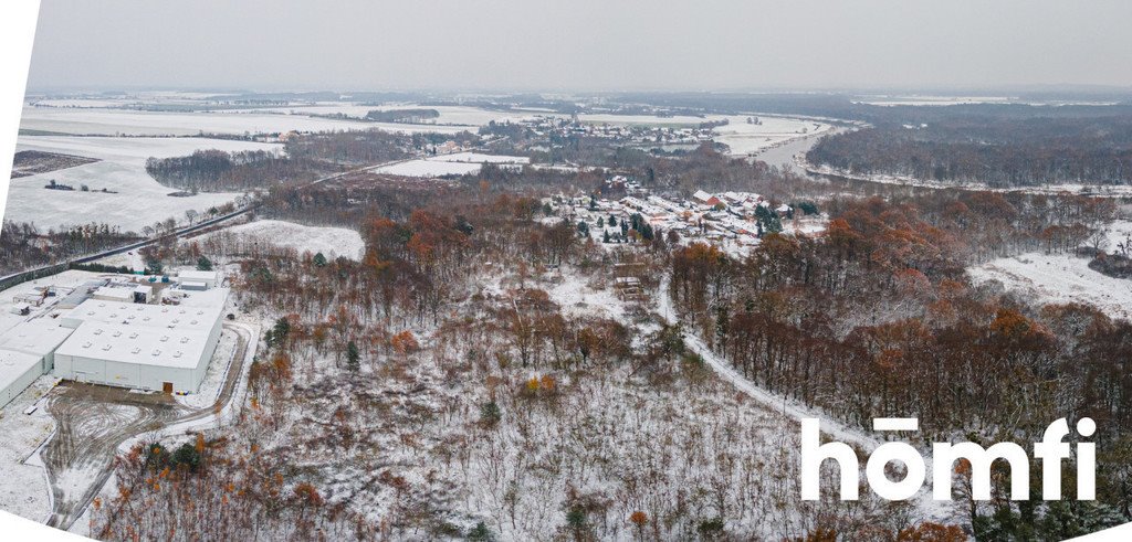 Działka komercyjna na sprzedaż Pogalewo Wielkie  16 700m2 Foto 8