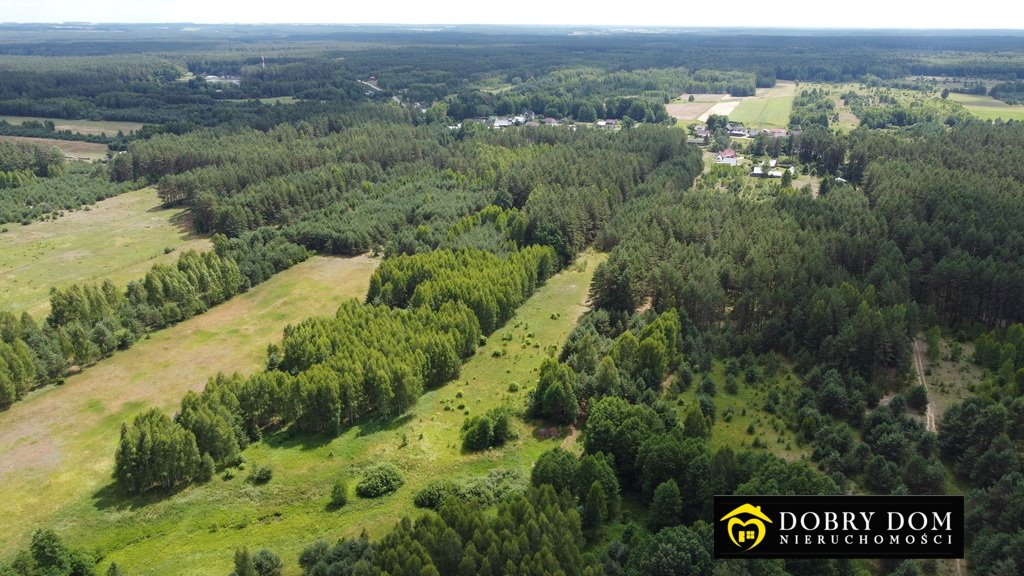 Działka leśna z prawem budowy na sprzedaż Rudawka  10 000m2 Foto 5