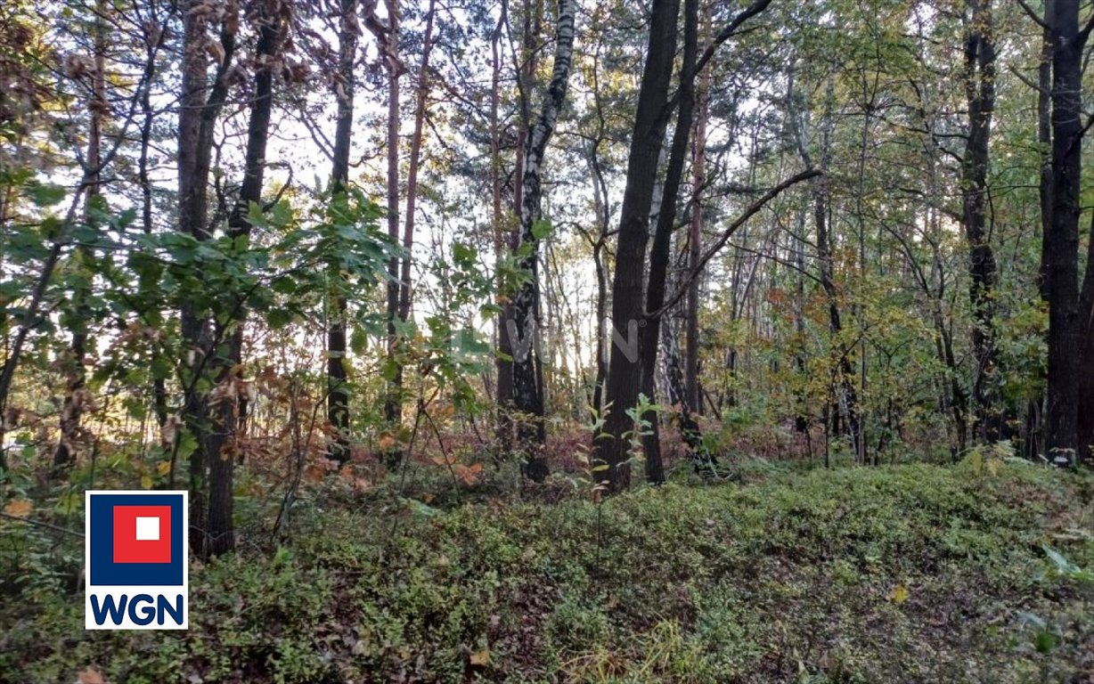 Działka leśna na sprzedaż Myszków, Nowa Wieś  1 959m2 Foto 7