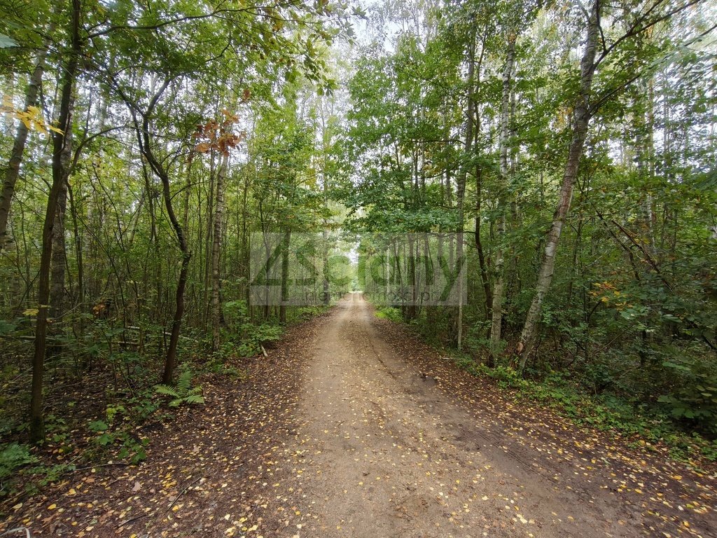 Działka 1500 m² z lasem i planem zabudowy - zapraszam Ojrzanów  1 500m2 Foto 1
