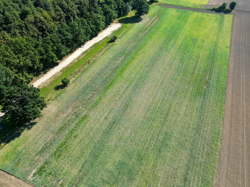 Działka budowlana na sprzedaż Łącko  20 900m2 Foto 4