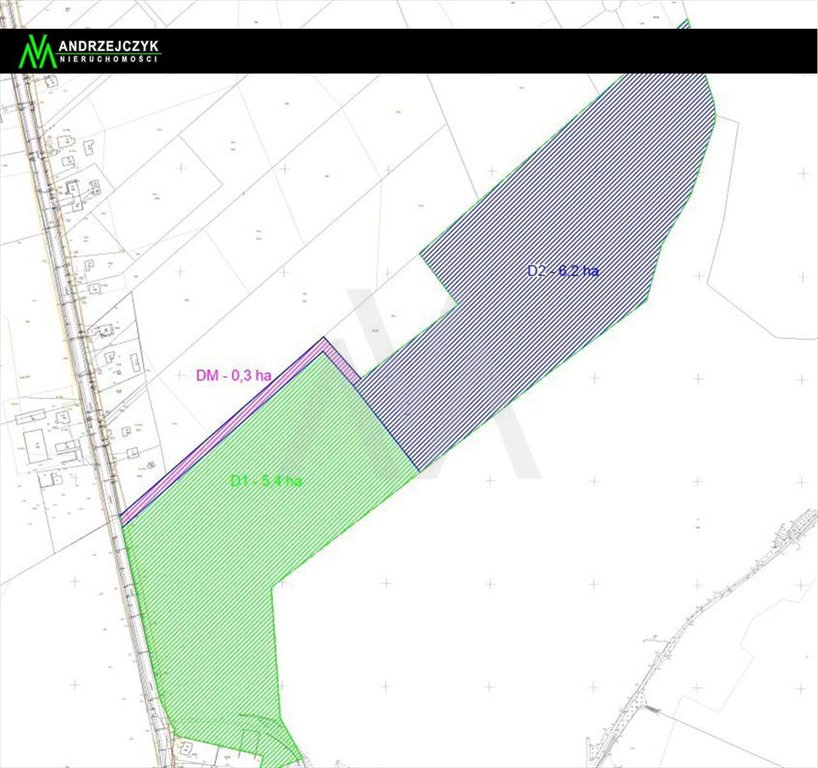 Działka inna na sprzedaż Lisewo, lisewska  60 000m2 Foto 1