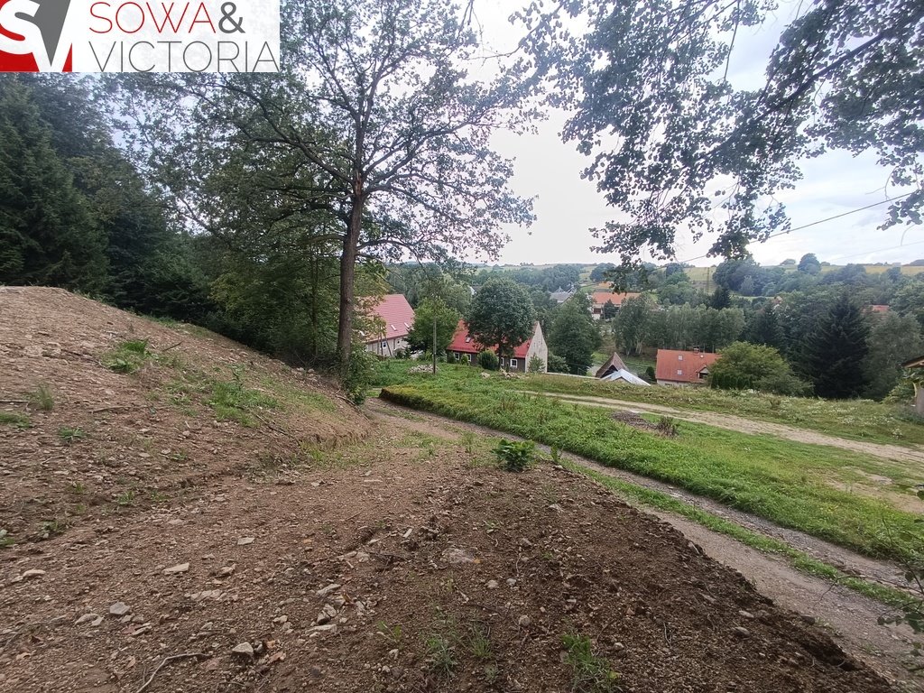 Działka budowlana na sprzedaż Dziećmorowice  6 052m2 Foto 11