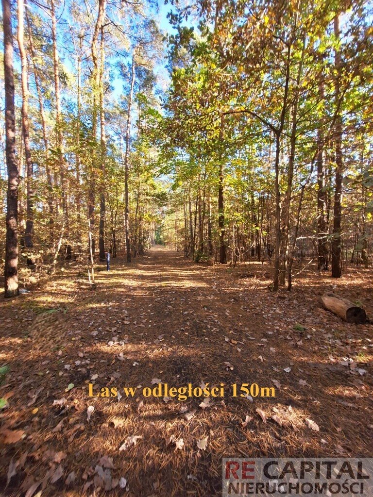 Działka budowlana na sprzedaż Koczargi Stare  900m2 Foto 6