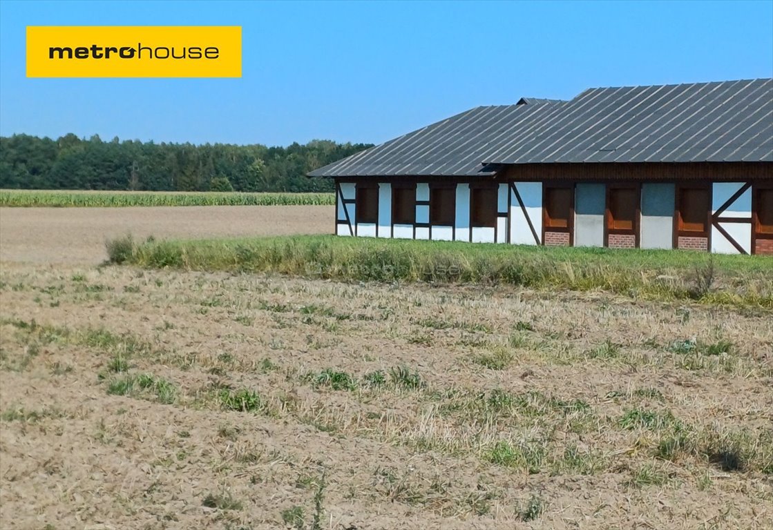 Działka inna na sprzedaż Konarzyny, Żychckie Osady  3 011m2 Foto 1