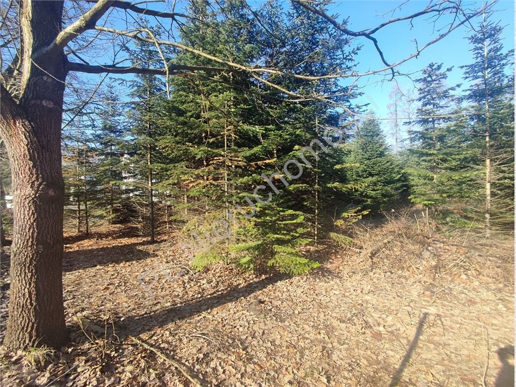 Działka 1412 m² z mediami, cicha okolica, blisko WKD Milanówek  1 412m2 Foto 1