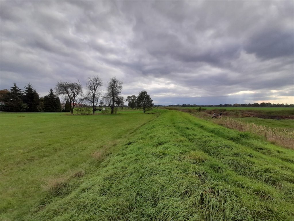 Działka budowlana na sprzedaż Miłkowice, GRZYMALIN  2 300m2 Foto 2