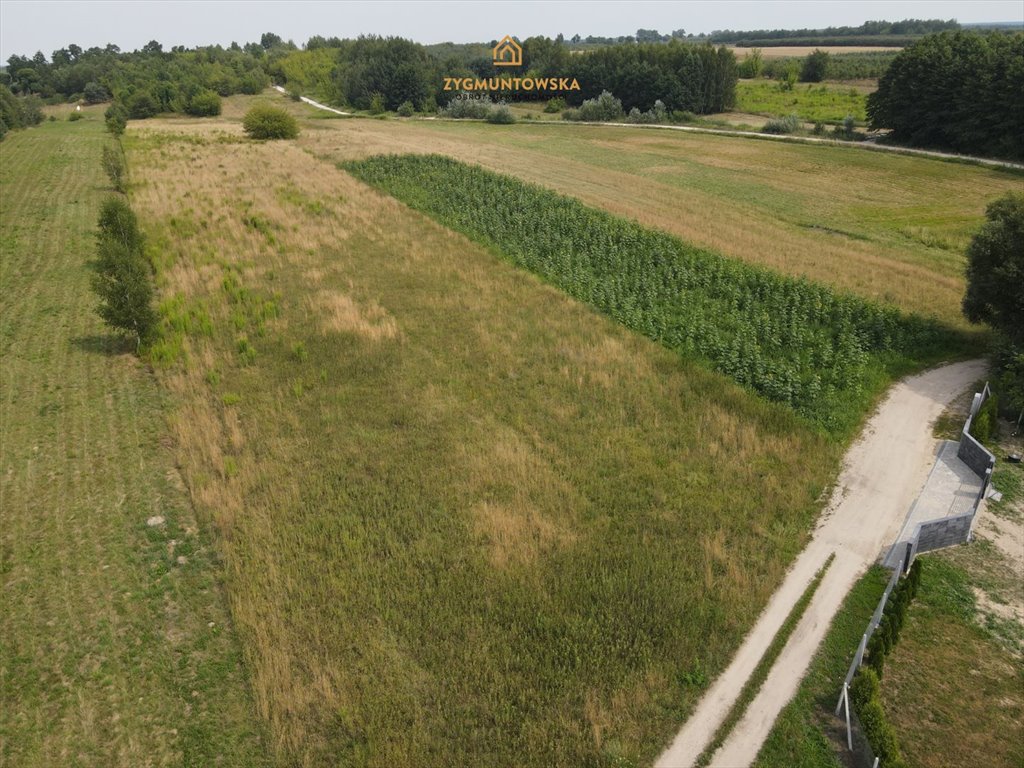 Działka inna na sprzedaż Nowe Miasto nad Pilicą, Pobiedna  9 806m2 Foto 2