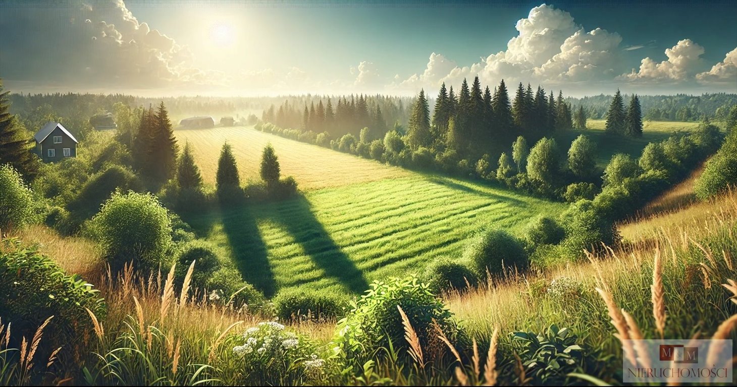 Działka budowlana 1546 m² w Jełowej – płaska, trapez, przy drodze Jełowa  1 546m2 Foto 1