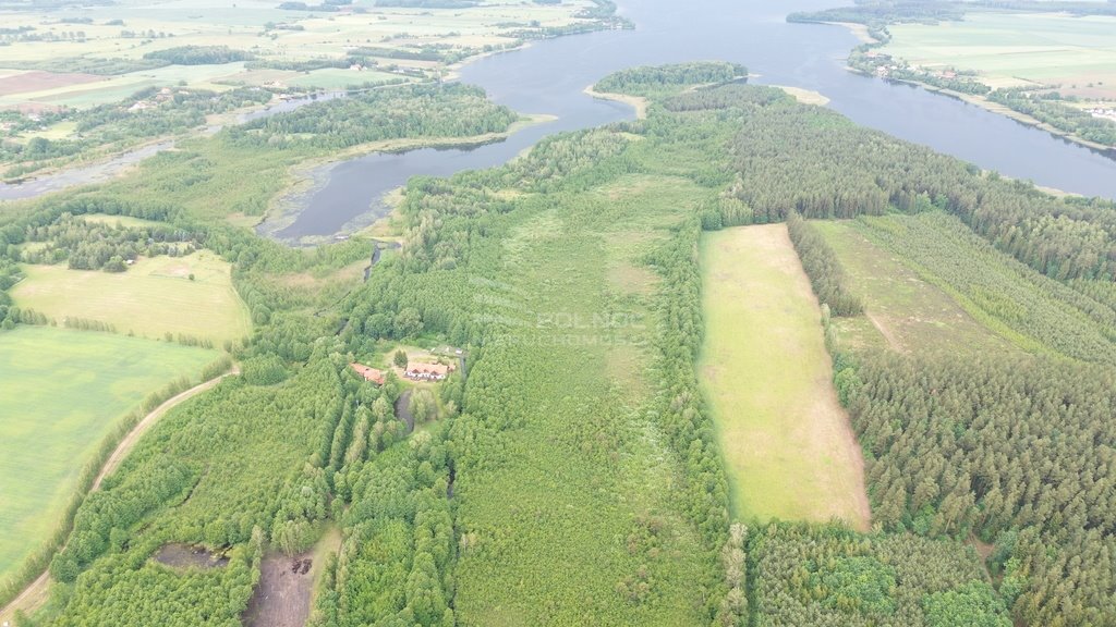 Działka leśna na sprzedaż Makosieje  60 900m2 Foto 3