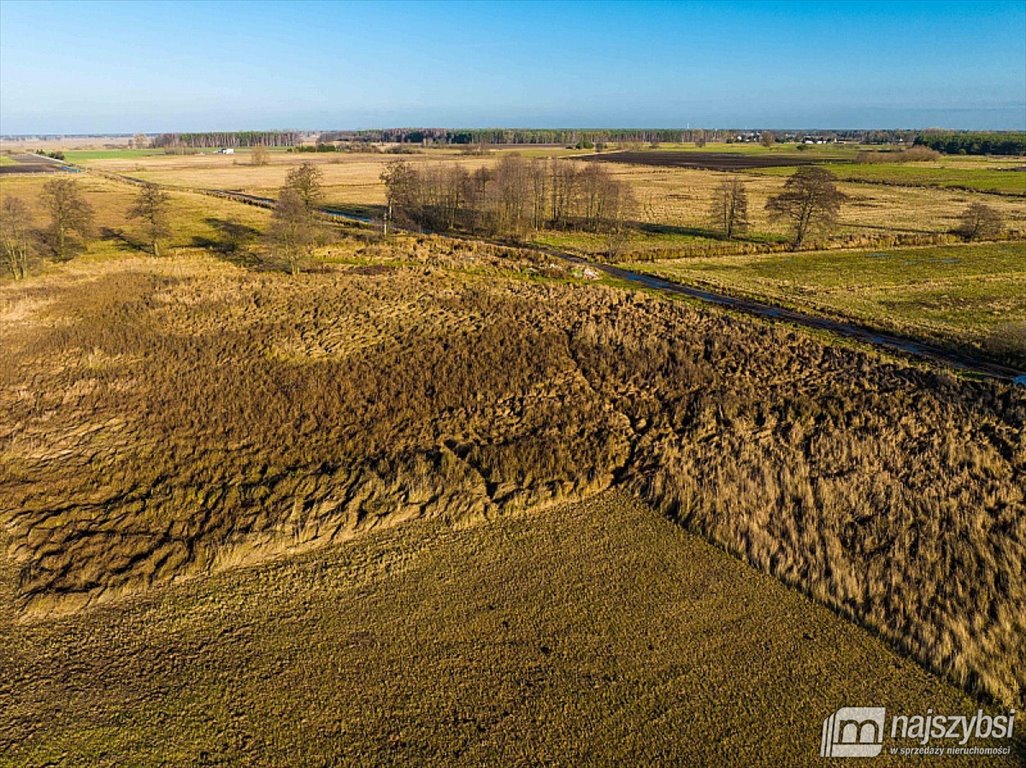 Działka rolna na sprzedaż Lubczyna, obrzeża  1 897m2 Foto 6