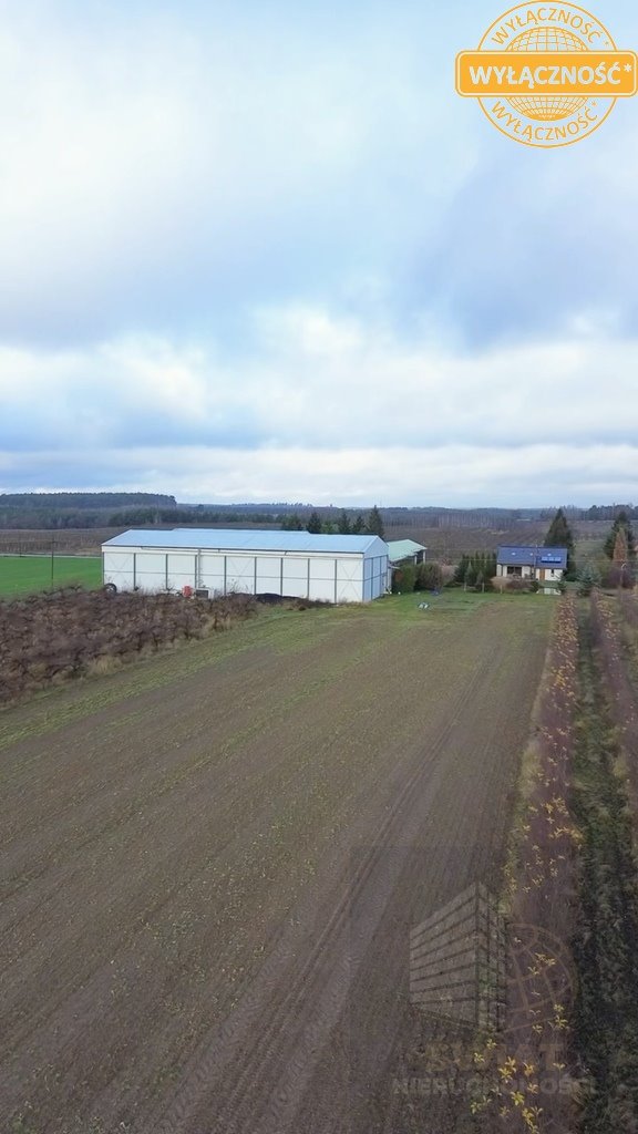 Magazyn na sprzedaż Dobiegniew  2 162m2 Foto 7
