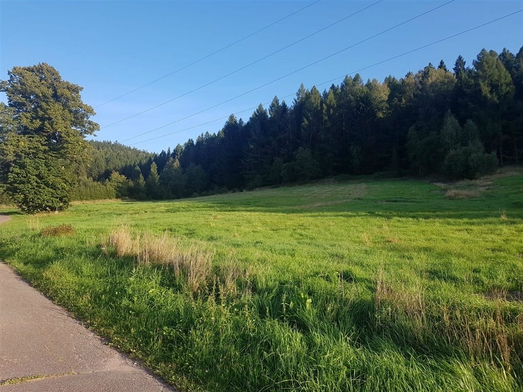 Działka 8 208 m² z dostępem do drogi asfaltowej i mediów Grzędy  8 208m2 Foto 1