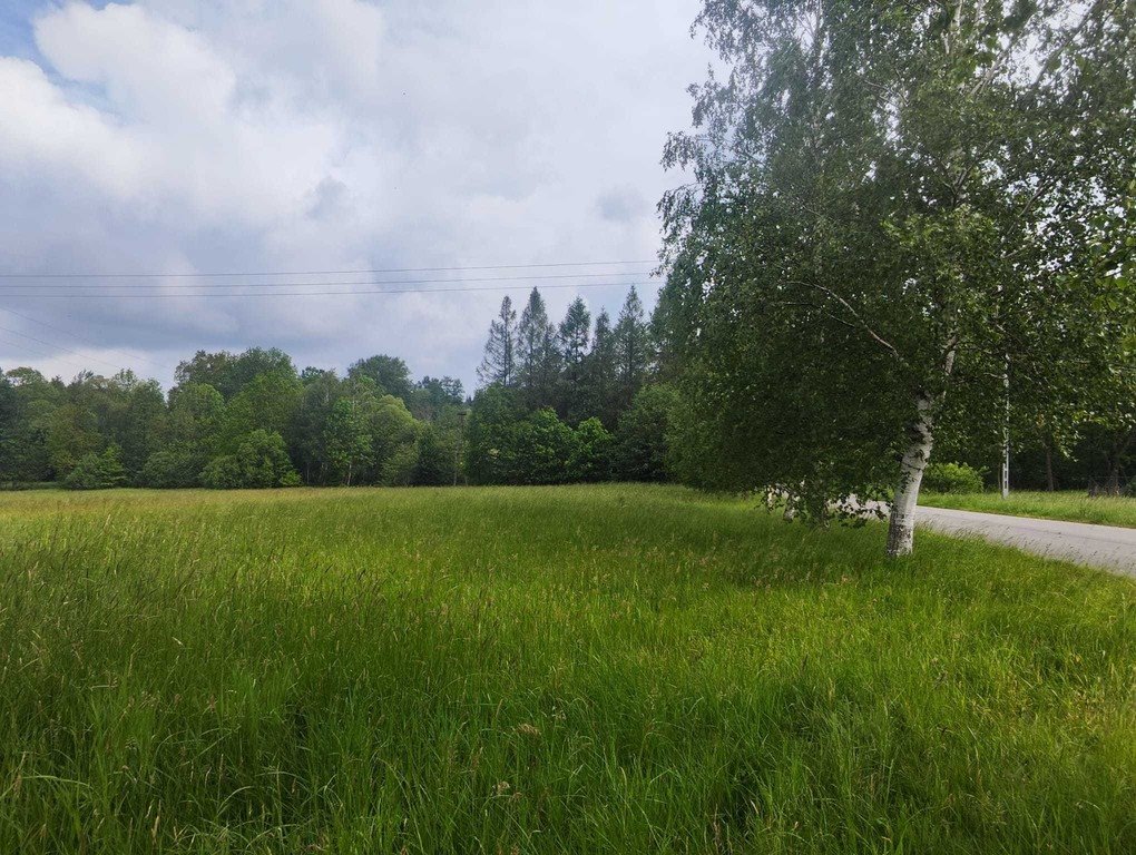 Działka budowlana 2240 m² z warunkami zabudowy w Rębiszowie Rębiszów  2 240m2 Foto 1