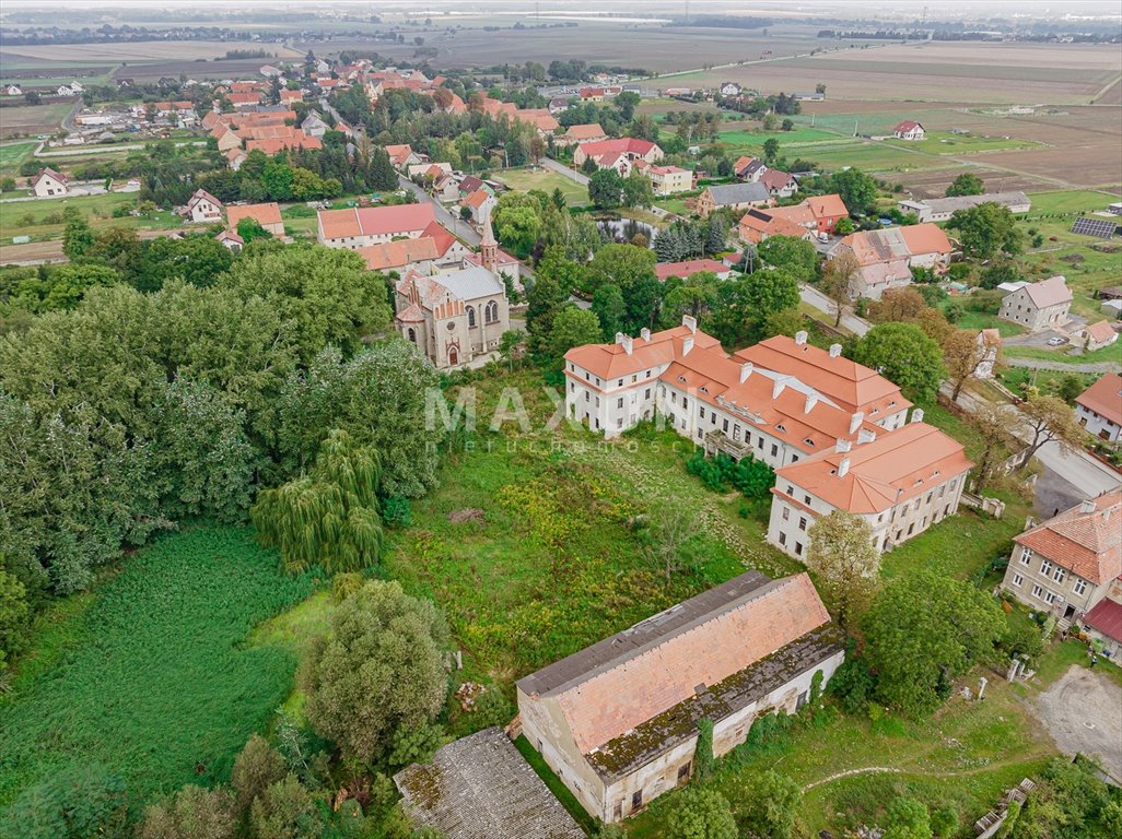 Dom na sprzedaż Małuszów  4 100m2 Foto 18